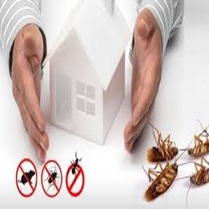 General Pest Control